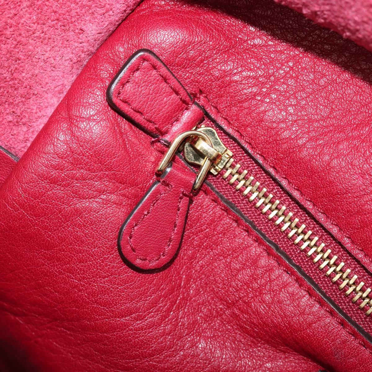 LOEWE Amazona 36 Hand Bag Leather Red Gold Auth 206725A