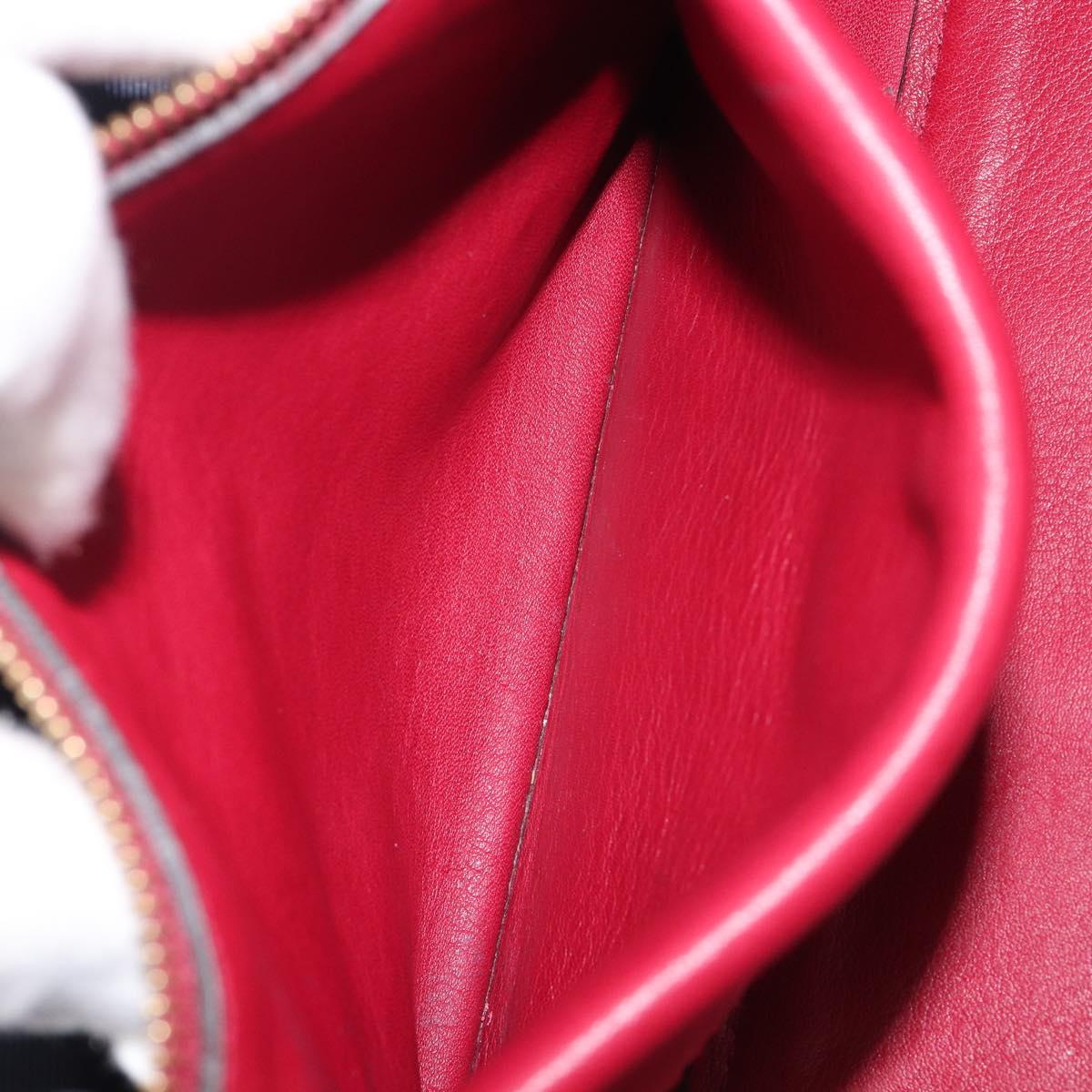 LOEWE Amazona 36 Hand Bag Leather Red Gold Auth 206725A
