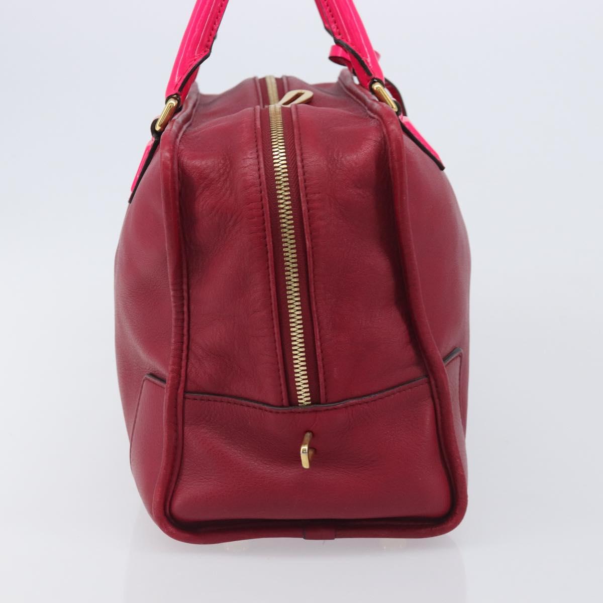 LOEWE Amazona 36 Hand Bag Leather Red Gold Auth 206725A