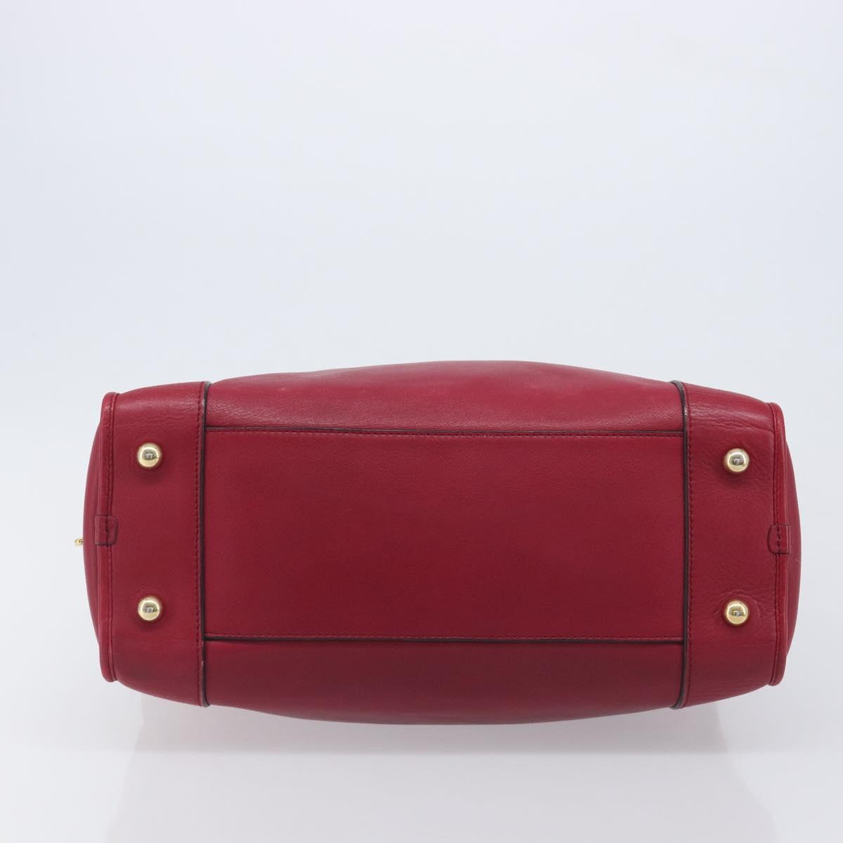 LOEWE Amazona 36 Hand Bag Leather Red Gold Auth 206725A