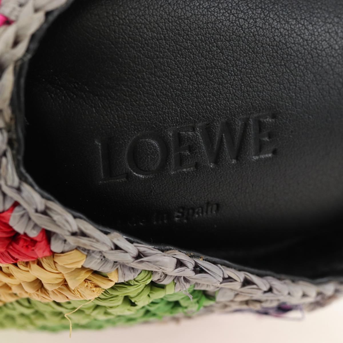 LOEWE Shoulder Bag Raffia Multicolor Silver Auth 207023SAM
