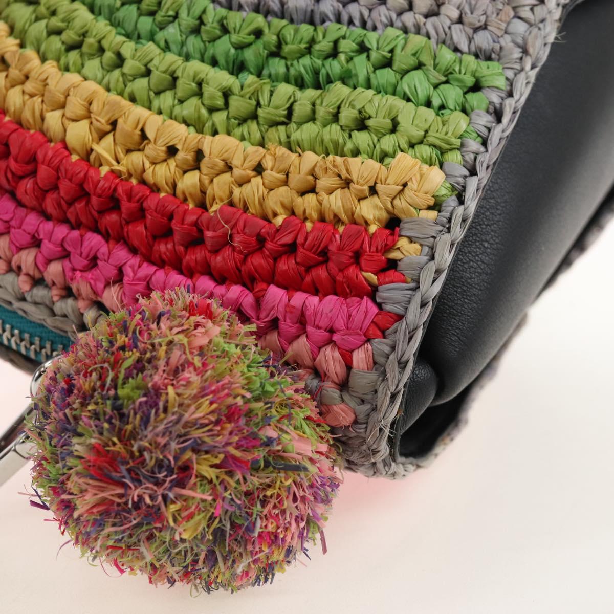 LOEWE Shoulder Bag Raffia Multicolor Silver Auth 207023SAM