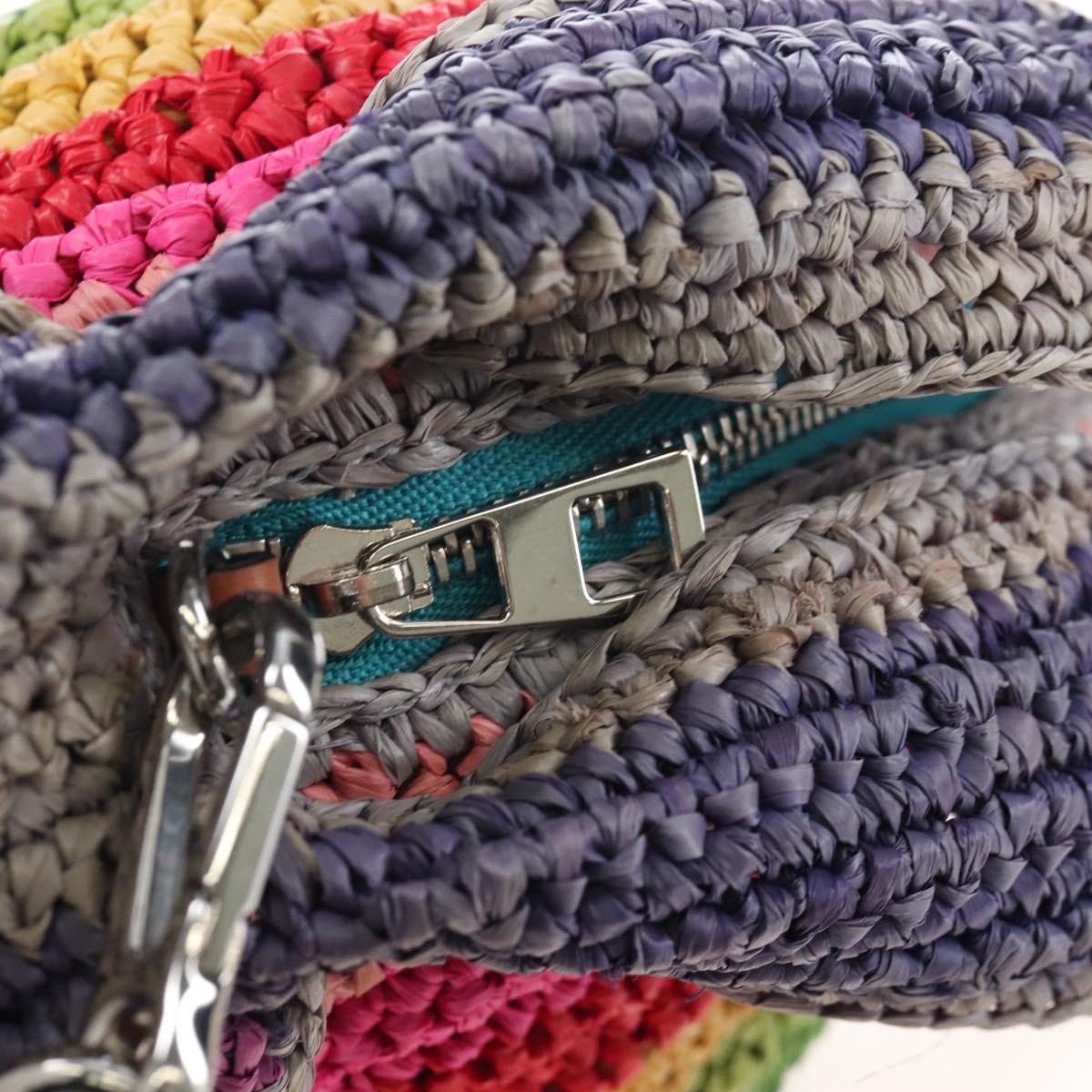 LOEWE Shoulder Bag Raffia Multicolor Silver Auth 207023SAM