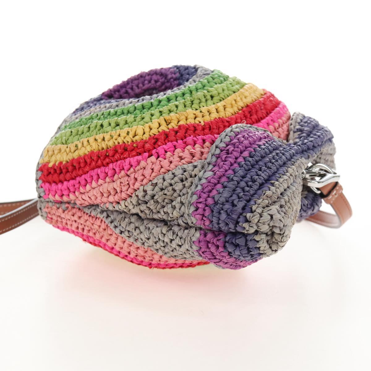 LOEWE Shoulder Bag Raffia Multicolor Silver Auth 207023SAM