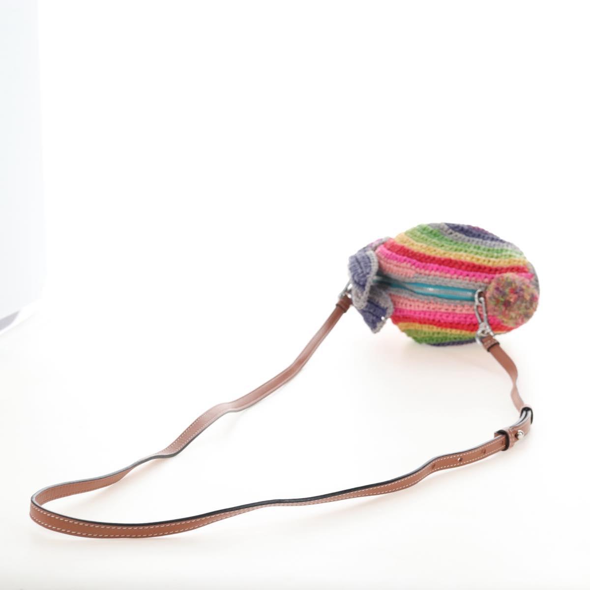 LOEWE Shoulder Bag Raffia Multicolor Silver Auth 207023SAM
