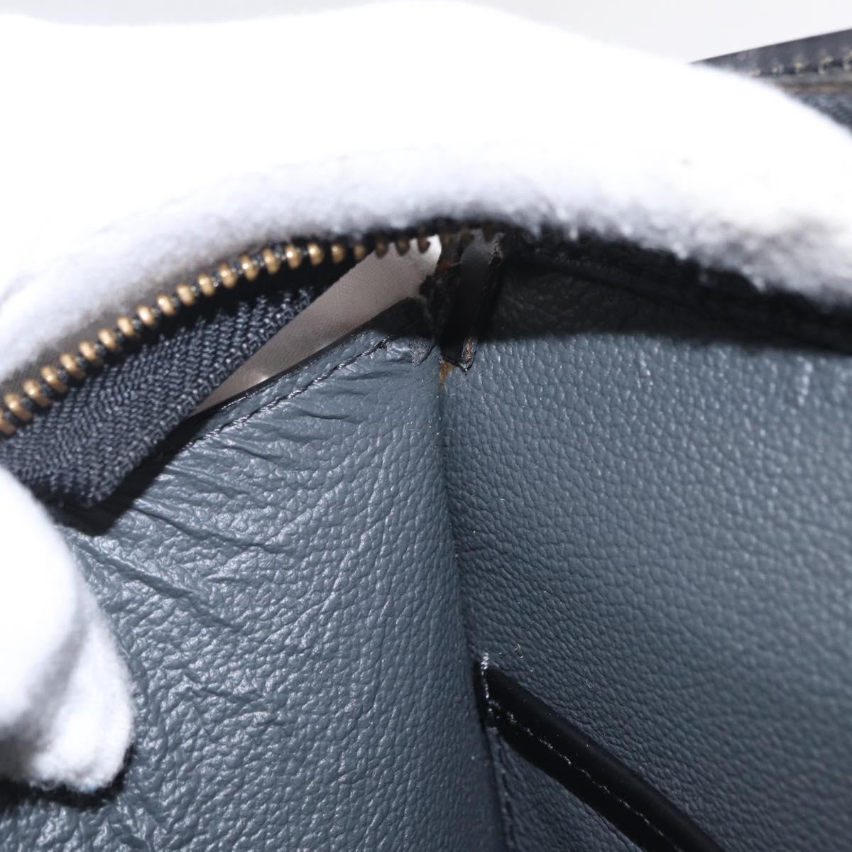 LOUIS VUITTON Epi Riviera Hand Bag Black M48182 LV Auth 207097