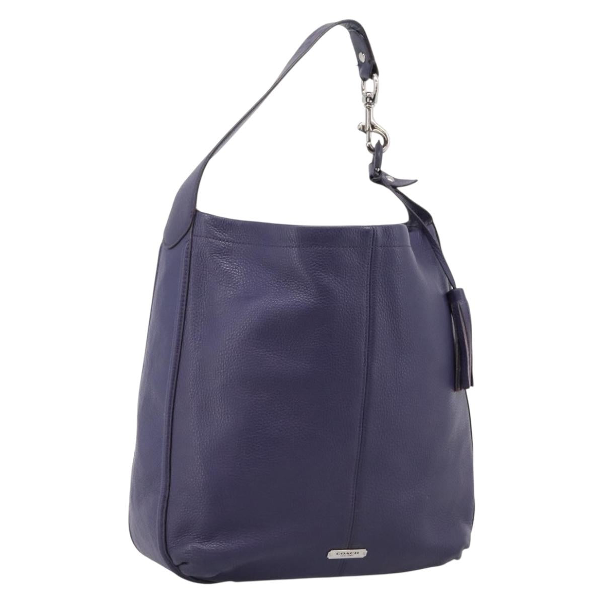 Coach Shoulder Bag Leather Navy Silver Auth 207176A