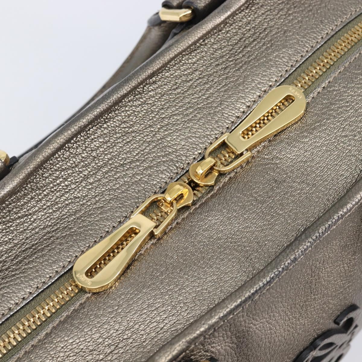 LOEWE Amazona 28 Hand Bag Leather Gold Auth 207475V