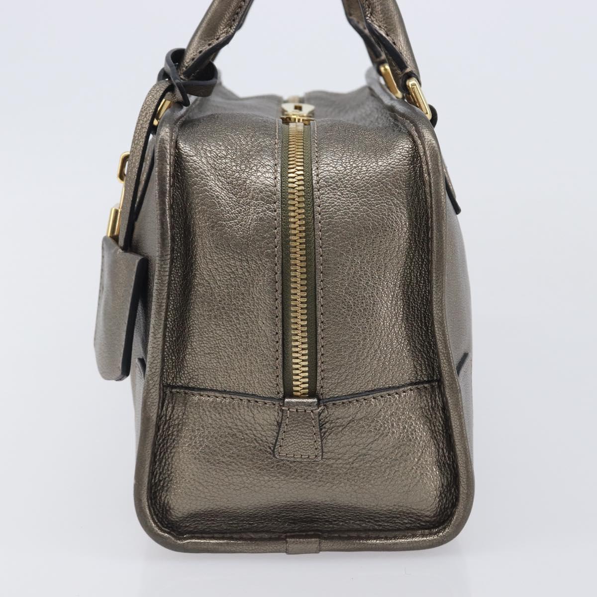 LOEWE Amazona 28 Hand Bag Leather Gold Auth 207475V