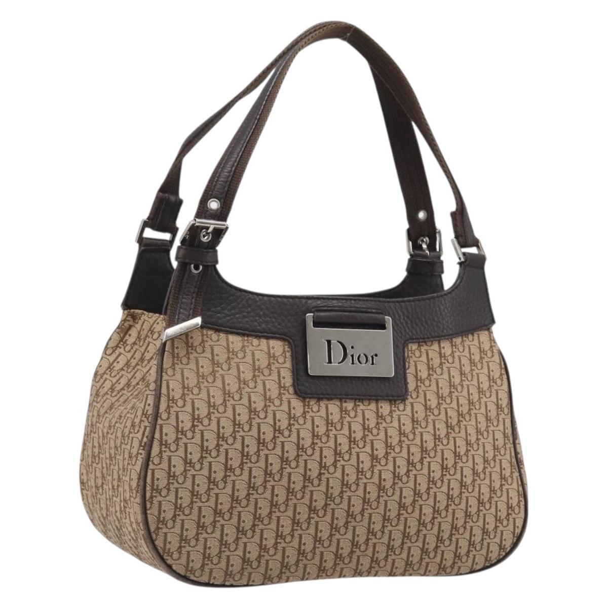 Christian Dior Trotter Canvas Hand Bag Brown Silver Auth 207724V