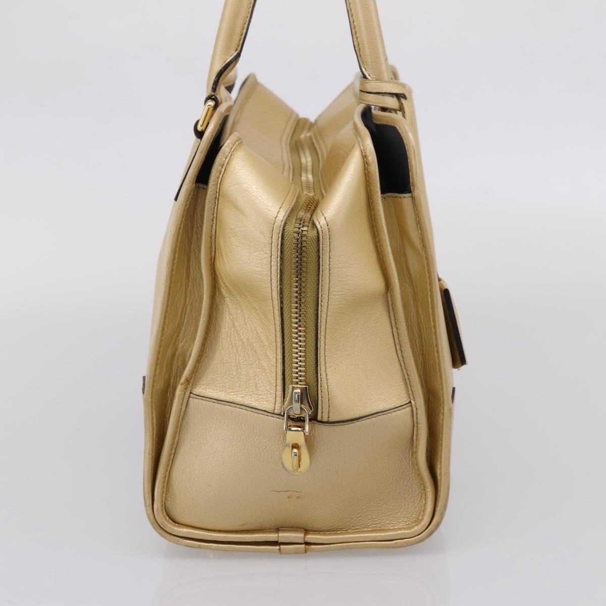 LOEWE Amazona 32 Hand Bag Leather Gold Auth 207798A