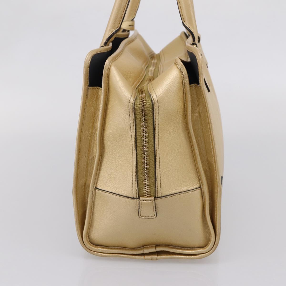 LOEWE Amazona 32 Hand Bag Leather Gold Auth 207798A