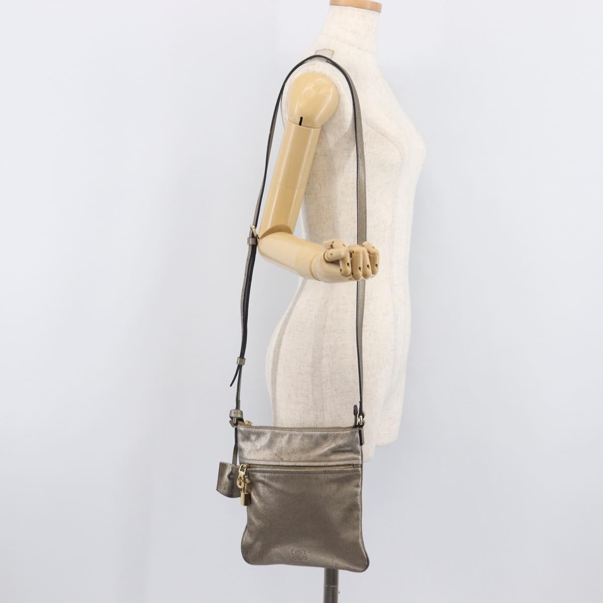 LOEWE Shoulder Bag Leather Gold Auth 208065