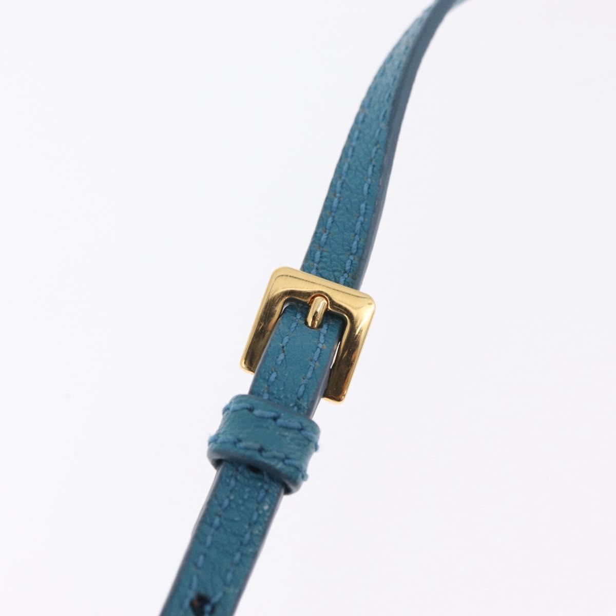 Miu Miu Madras Accessory Pouch Leather Light Blue Gold Auth 208282A