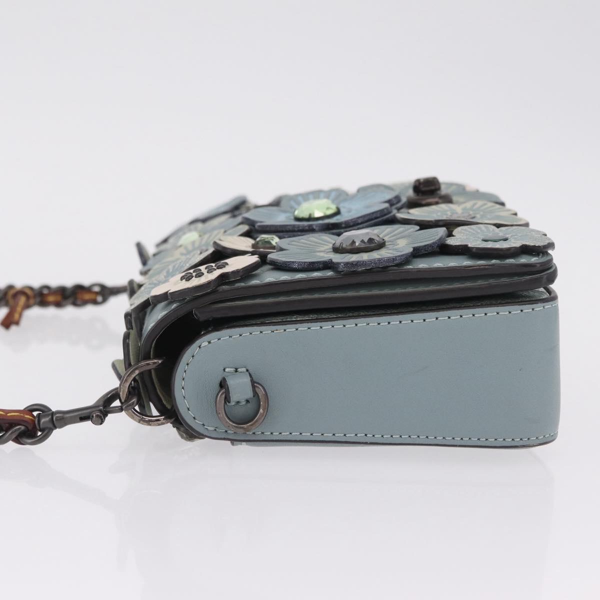 Coach Shoulder Bag Leather Blue Auth 208360A