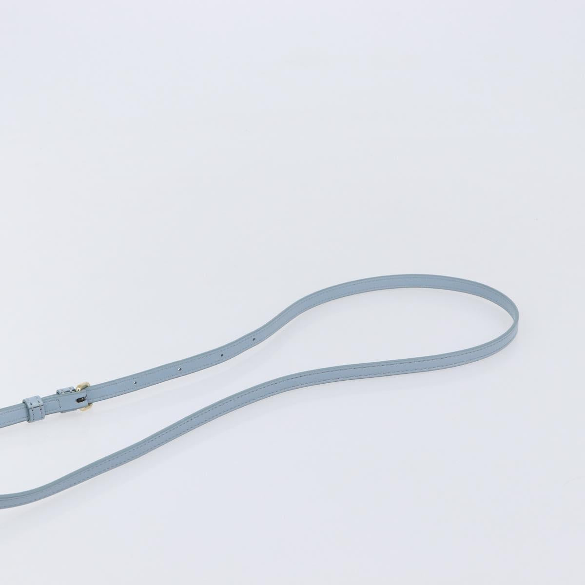 CELINE Triomphe Shoulder Bag Leather Light Blue Gold Auth 208602SAM