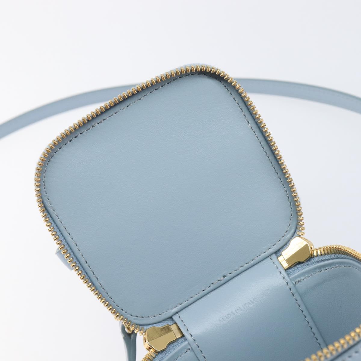 CELINE Triomphe Shoulder Bag Leather Light Blue Gold Auth 208602SAM