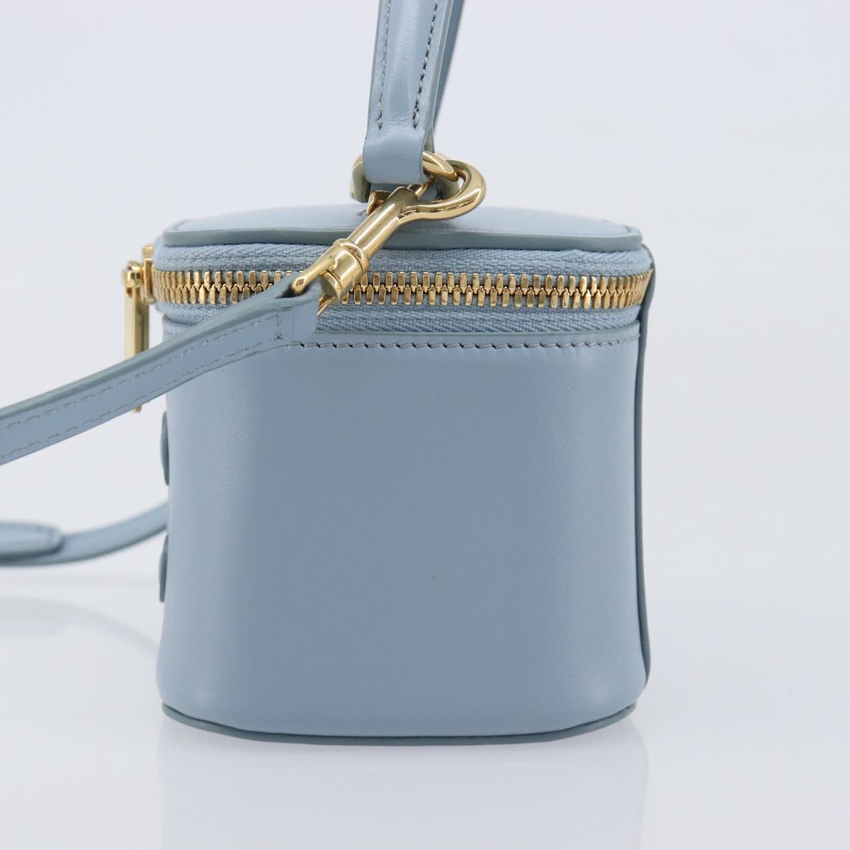 CELINE Triomphe Shoulder Bag Leather Light Blue Gold Auth 208602SAM
