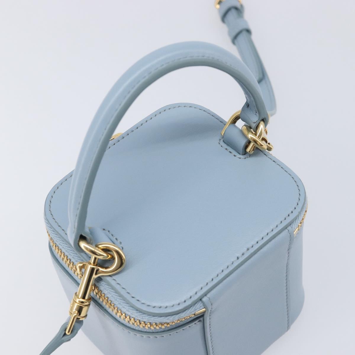 CELINE Triomphe Shoulder Bag Leather Light Blue Gold Auth 208602SAM