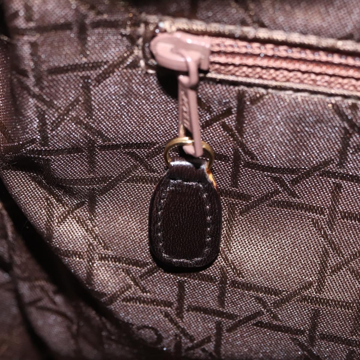 Christian Dior Canage Lady Dior Hand Bag Lamb Skin Dark Brown Gold Auth 209640V