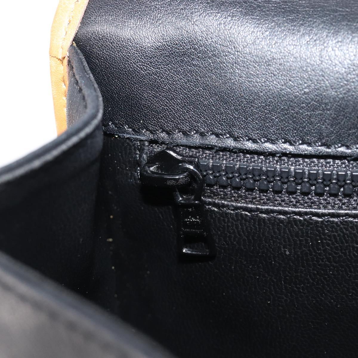 CELINE Shoulder Bag Leather Black Gold Tone Auth 209795