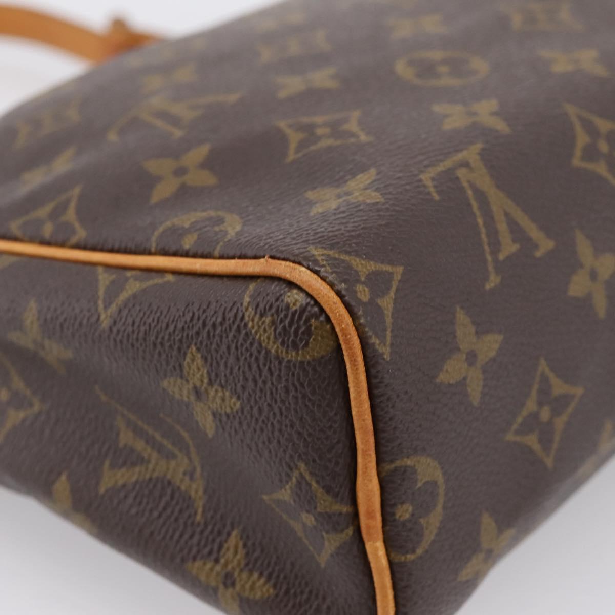 LOUIS VUITTON Monogram Tulle Lee Shoulder Bag M51348 LV Auth 209830A