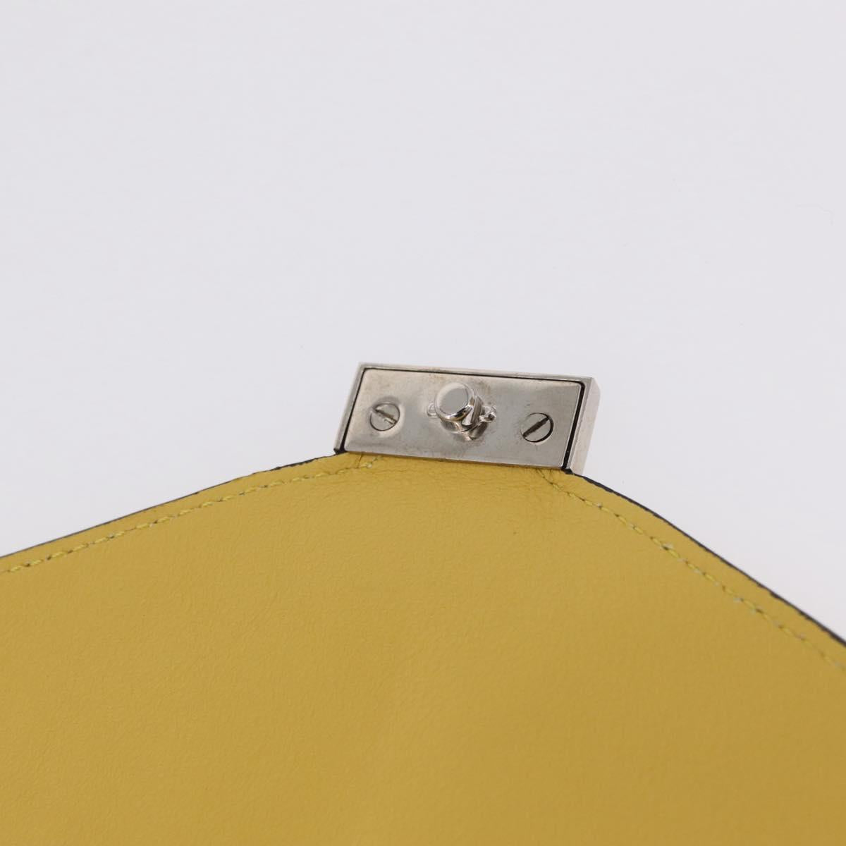 CELINE Clutch Bag Suede Calfskin leather Multicolor Silver Auth 209979A