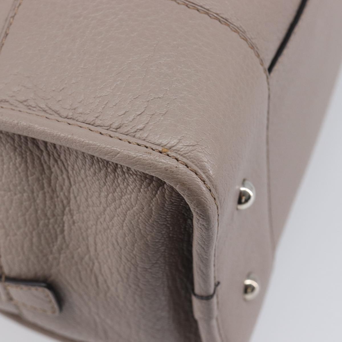 LOEWE Amazona 36 Hand Bag Leather Purple Gray Auth 210640A