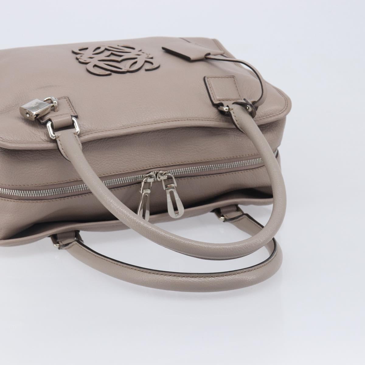 LOEWE Amazona 36 Hand Bag Leather Purple Gray Auth 210640A