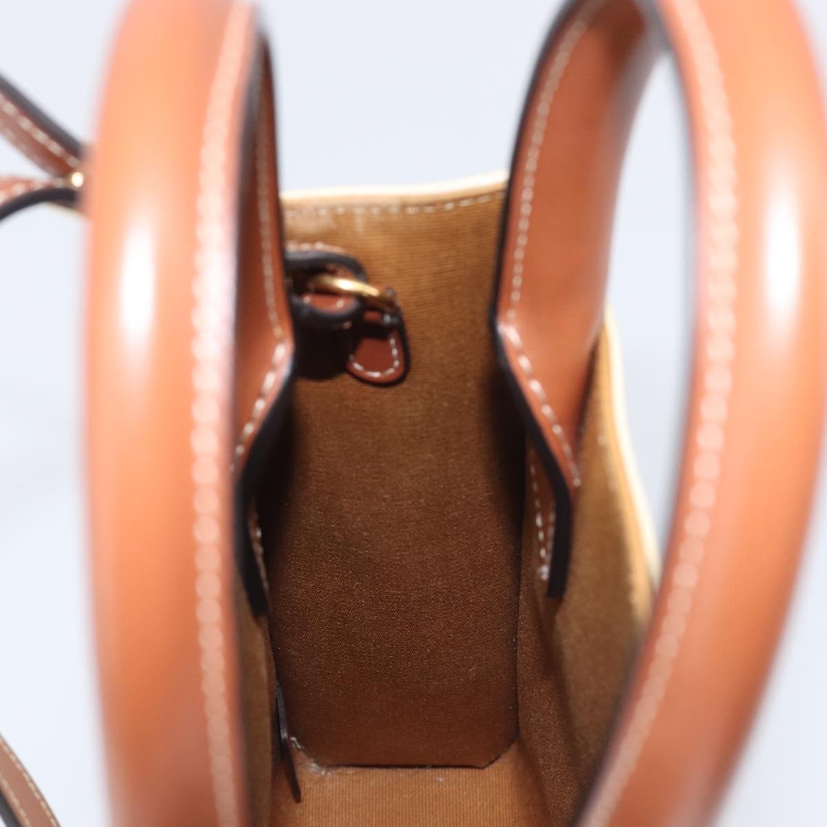 CELINE Triomphe Mini Vertical Cabas Hand Bag PVC 2way Ivory Gold Auth 211067V