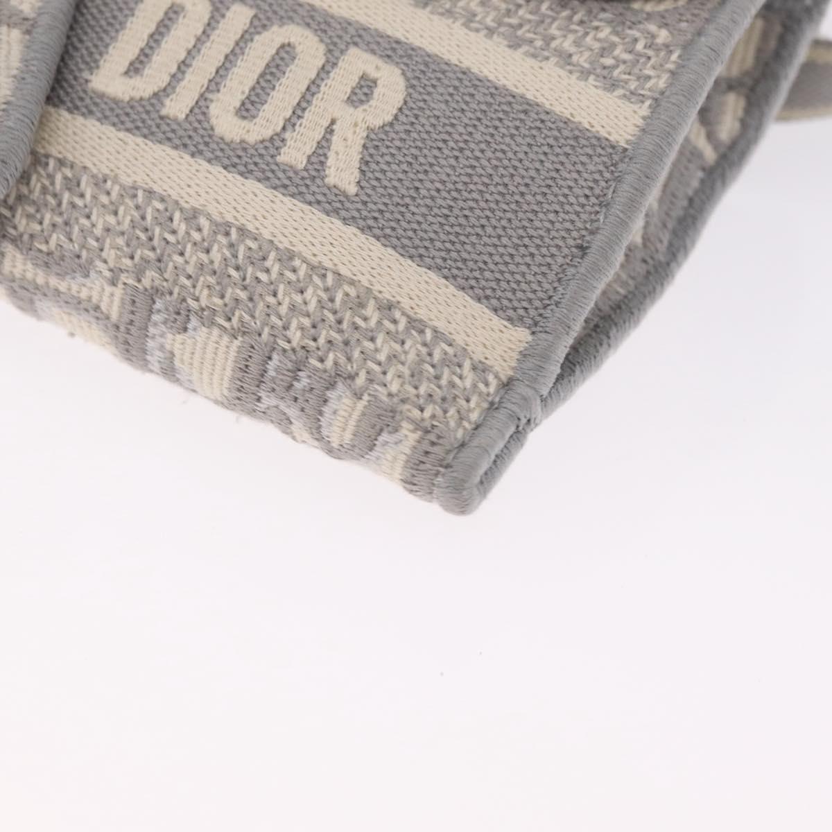 Christian Dior Trotter Canvas saddle Body Bag Gray Gold Tone Auth 211556V