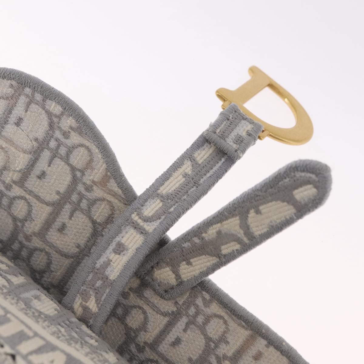 Christian Dior Trotter Canvas saddle Body Bag Gray Gold Tone Auth 211556V
