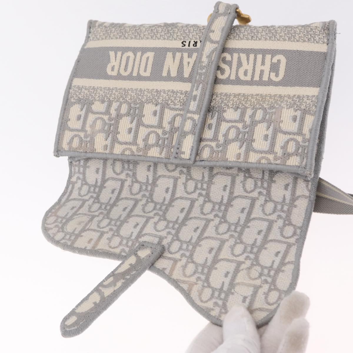 Christian Dior Trotter Canvas saddle Body Bag Gray Gold Tone Auth 211556V