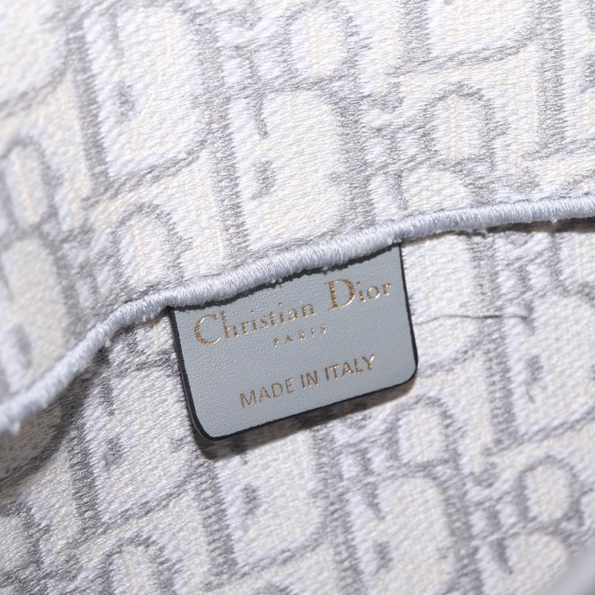 Christian Dior Trotter Canvas saddle Body Bag Gray Gold Tone Auth 211556V