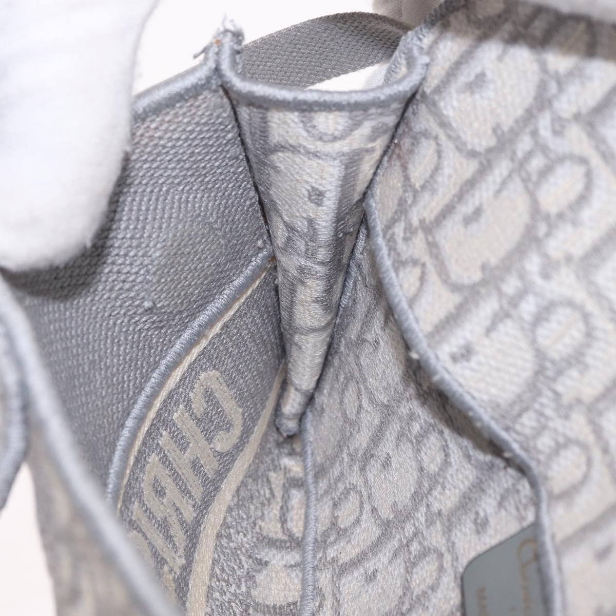 Christian Dior Trotter Canvas saddle Body Bag Gray Gold Tone Auth 211556V