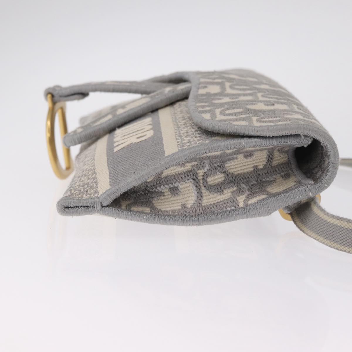 Christian Dior Trotter Canvas saddle Body Bag Gray Gold Tone Auth 211556V