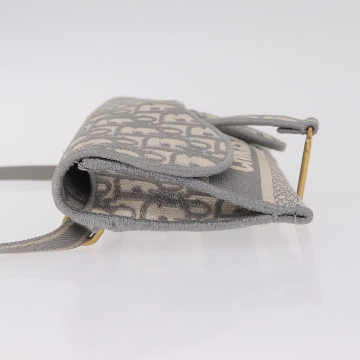 Christian Dior Trotter Canvas saddle Body Bag Gray Gold Tone Auth 211556V