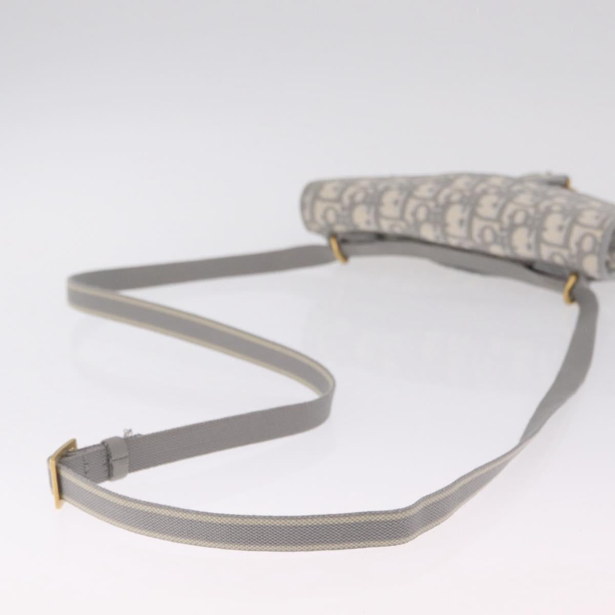 Christian Dior Trotter Canvas saddle Body Bag Gray Gold Tone Auth 211556V