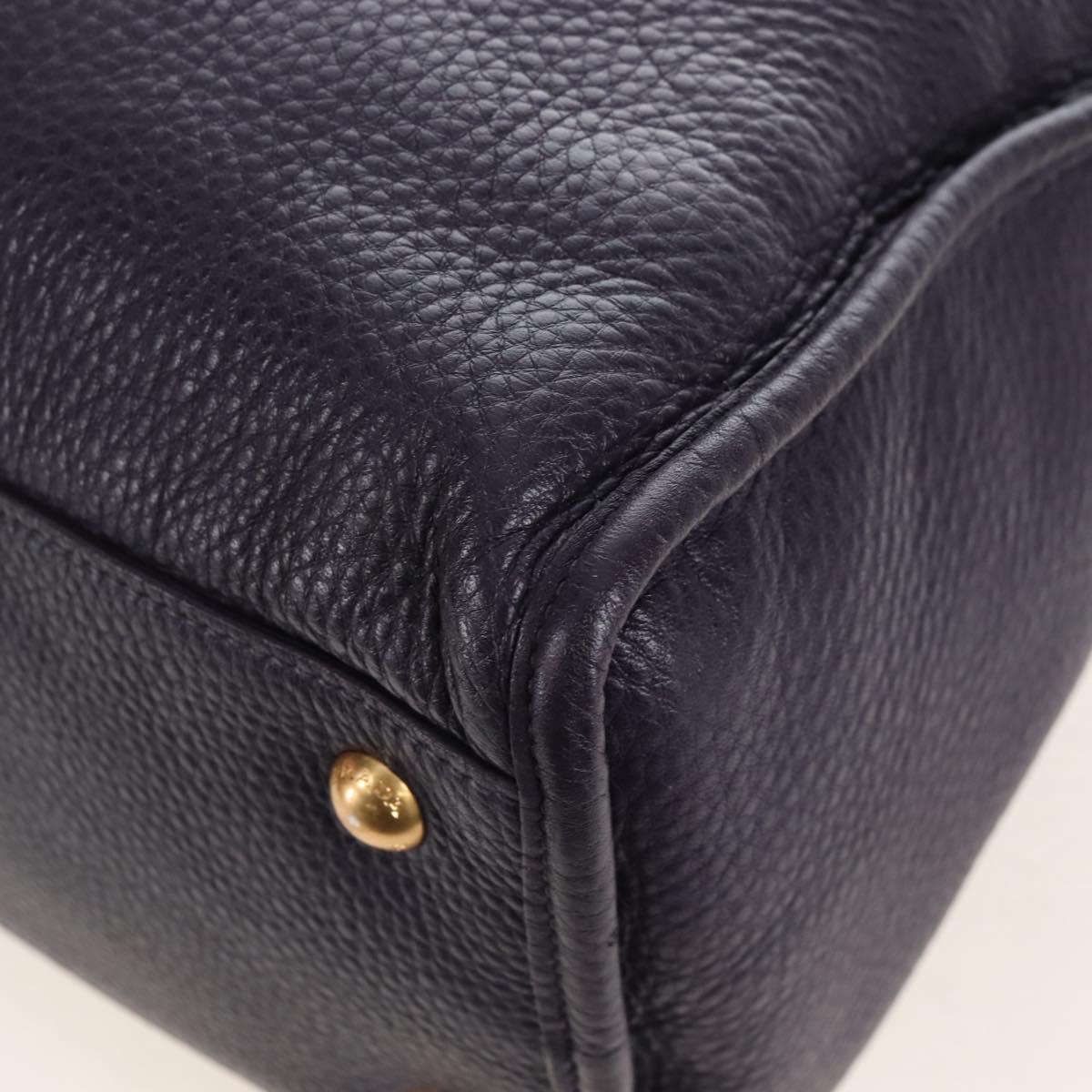 PRADA Hand Bag Vittero Dino Leather 2way Purple Gold Auth 211716V