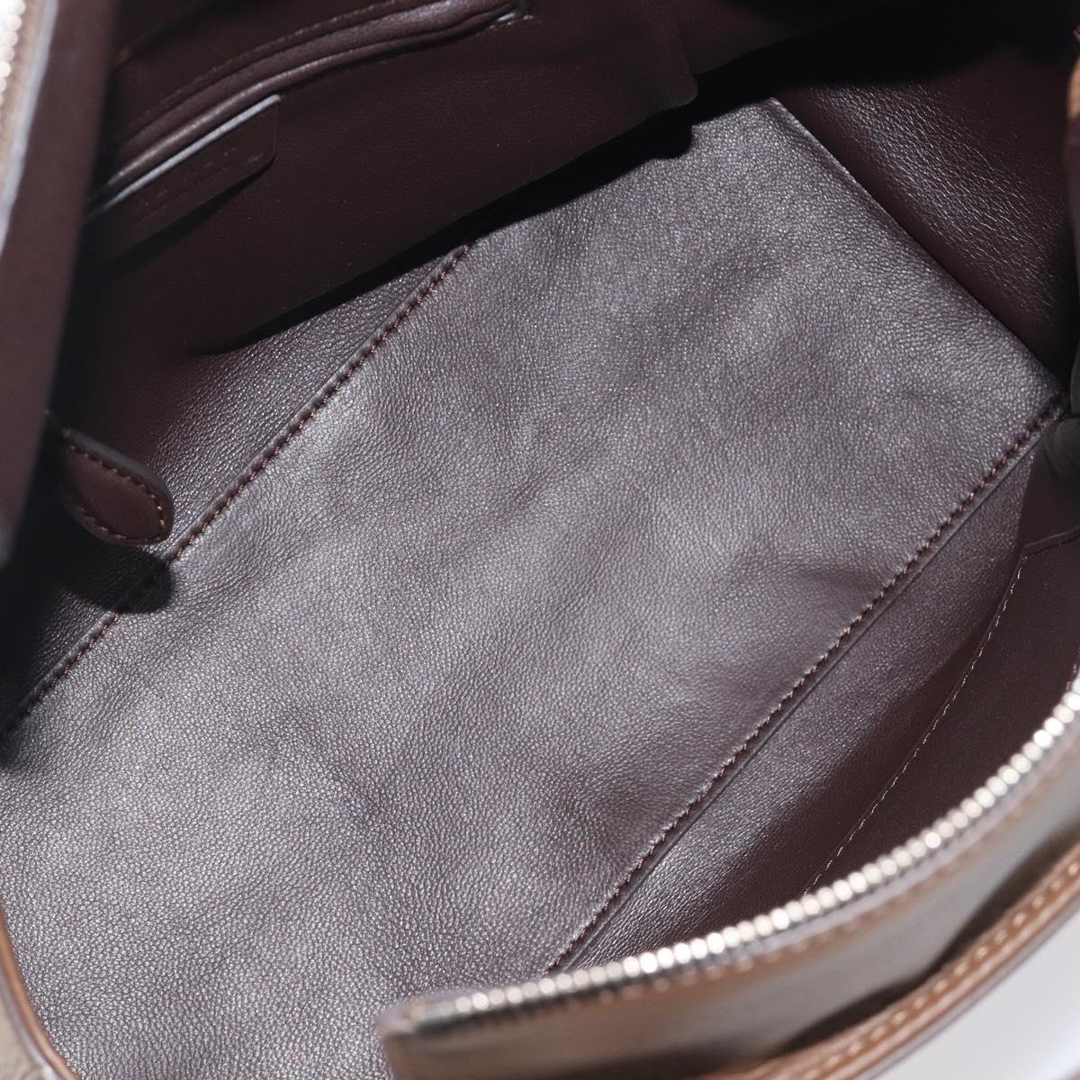 The Row Terrace Baulet Hand Bag Calf Skin Brown Silver Auth 211842SAM