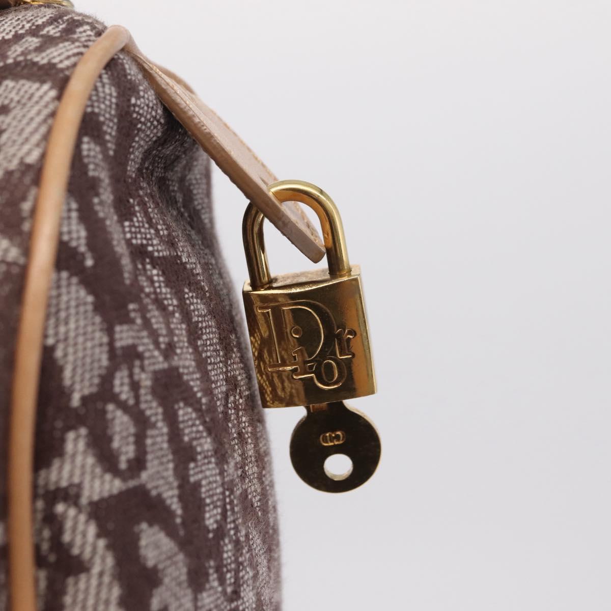 Christian Dior Trotter Canvas Hand Bag Brown Gold Auth 212092SAV