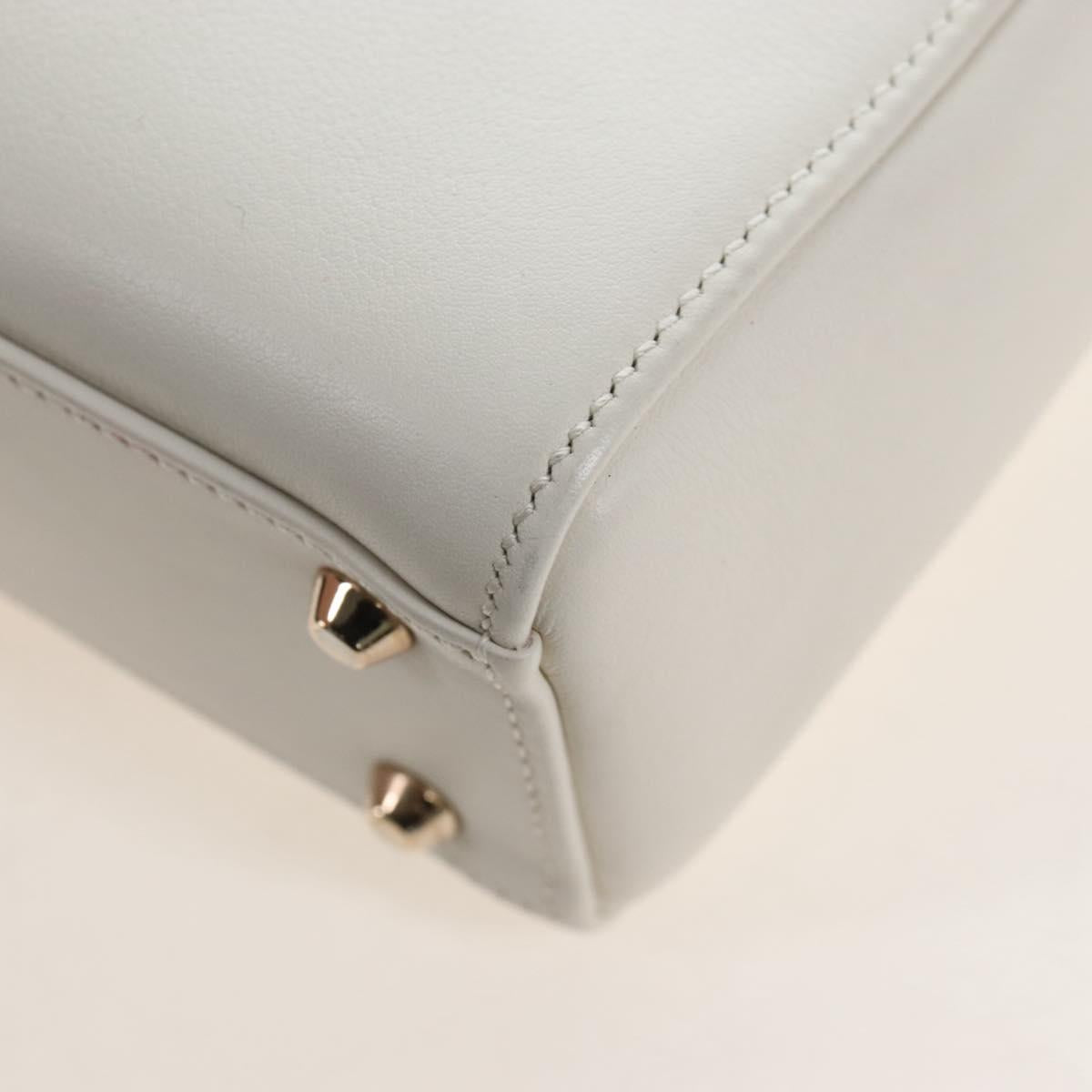 Christian Dior Lady Dior Dioramar Bag Calf Skin 2way White Gold Auth 213042M