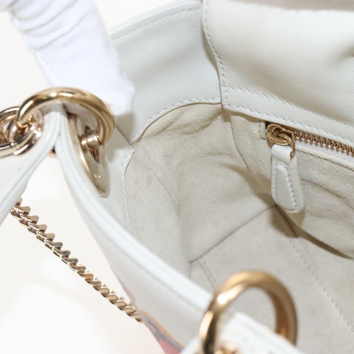 Christian Dior Lady Dior Dioramar Bag Calf Skin 2way White Gold Auth 213042M