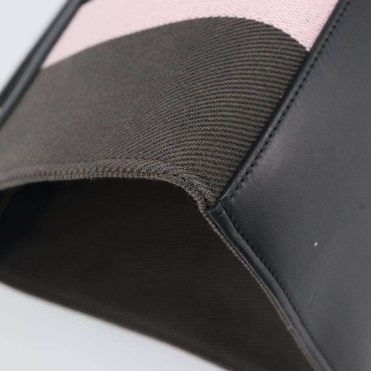 CELINE Trapeze Hand Bag Canvas Black Gold Auth 213353A