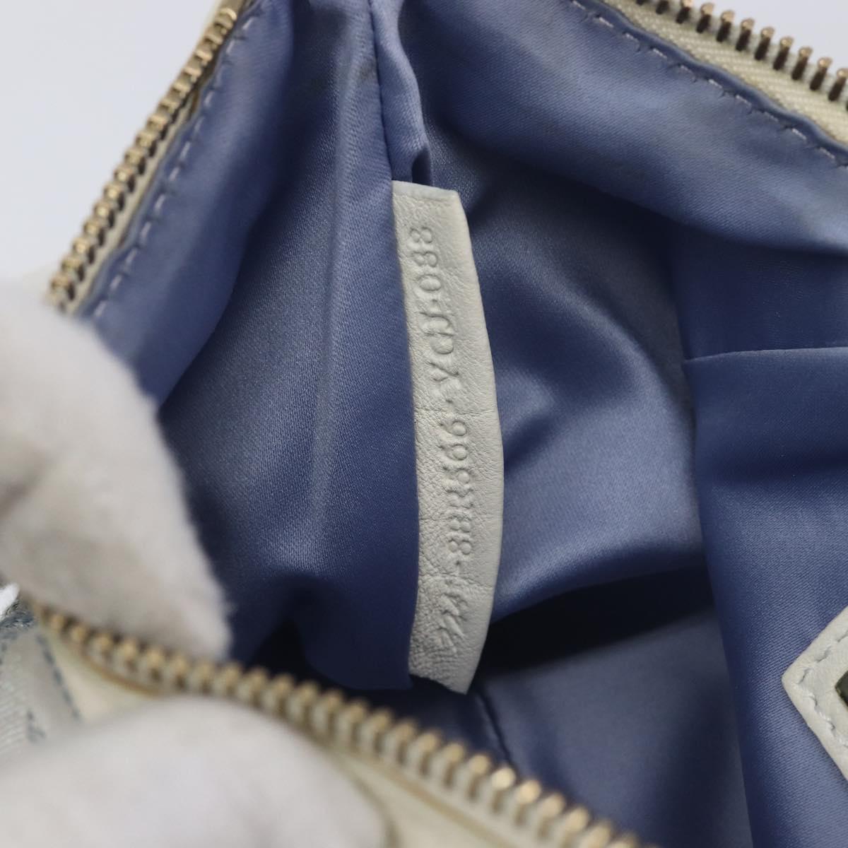 FENDI Zucca Canvas Accessory Pouch Light Blue Gold Auth 213553V