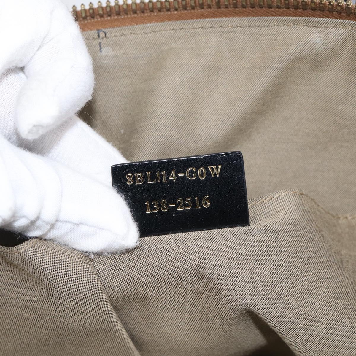 FENDI Chameleon Bag Boston Bag Canvas Beige Gold Auth 214925