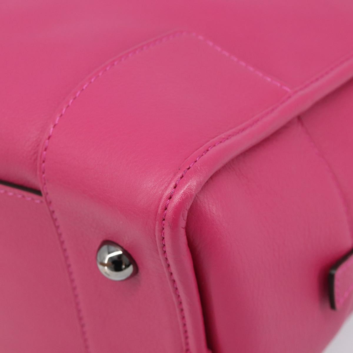 LOEWE Amazona 36 Hand Bag Leather Pink Silver Auth 215397A