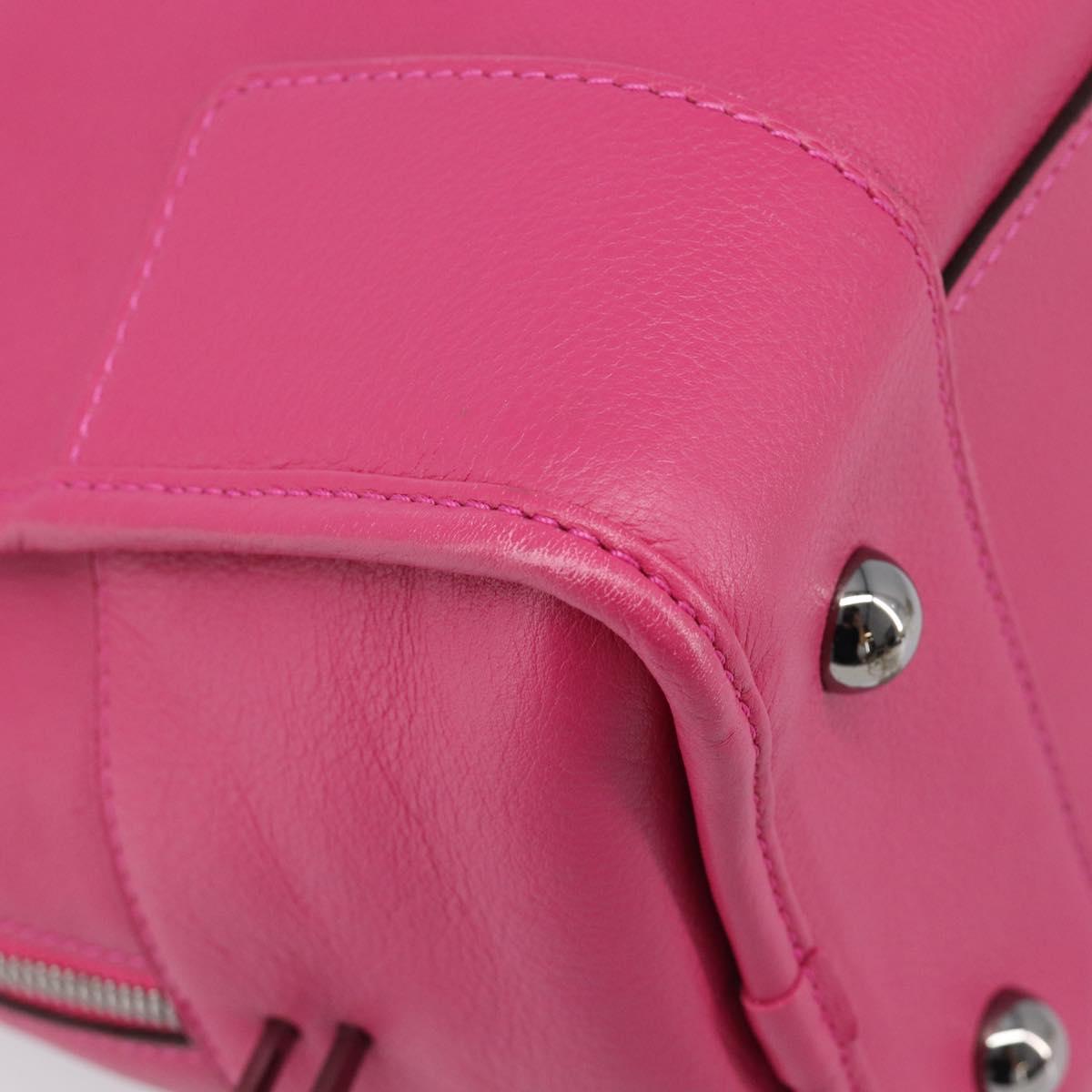 LOEWE Amazona 36 Hand Bag Leather Pink Silver Auth 215397A