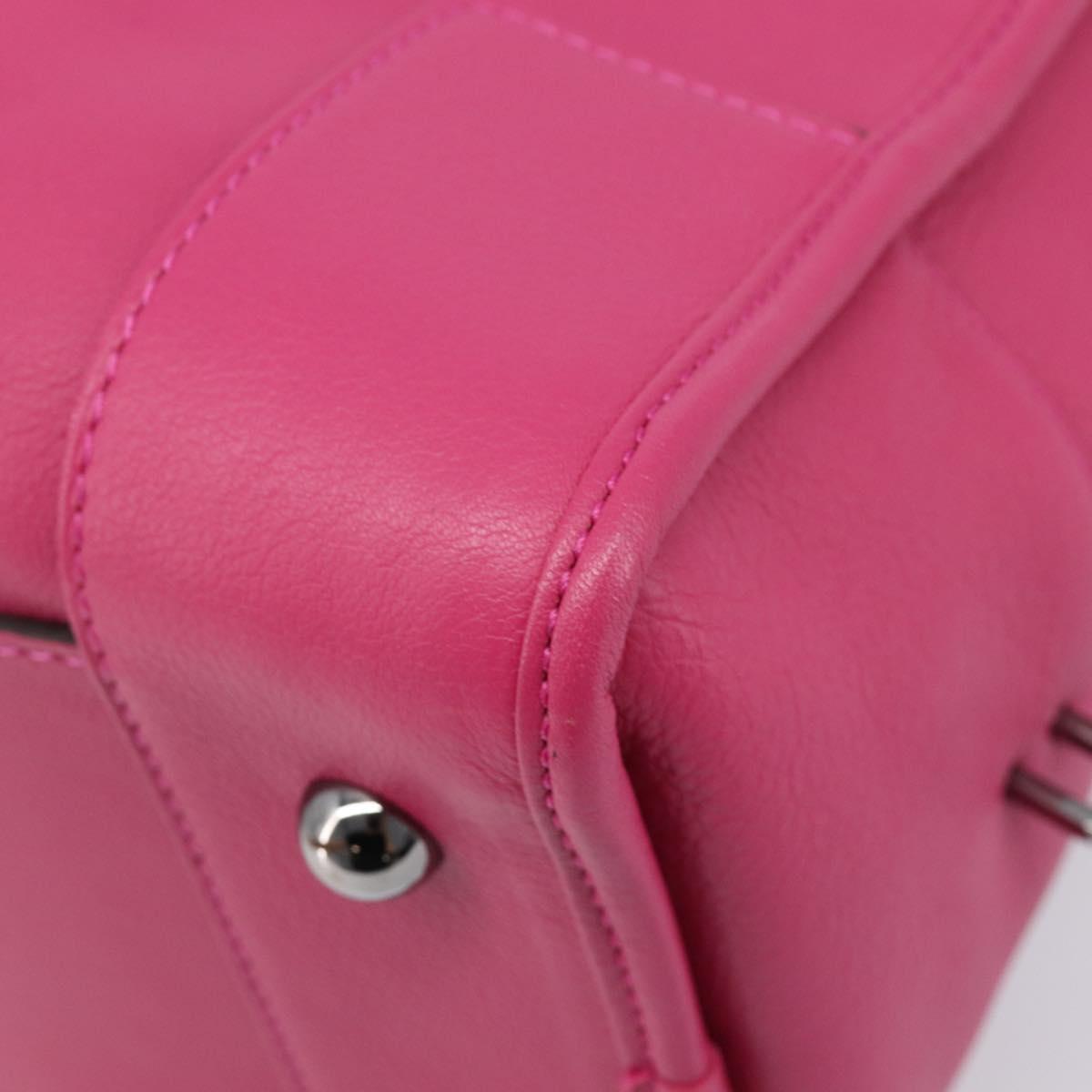LOEWE Amazona 36 Hand Bag Leather Pink Silver Auth 215397A