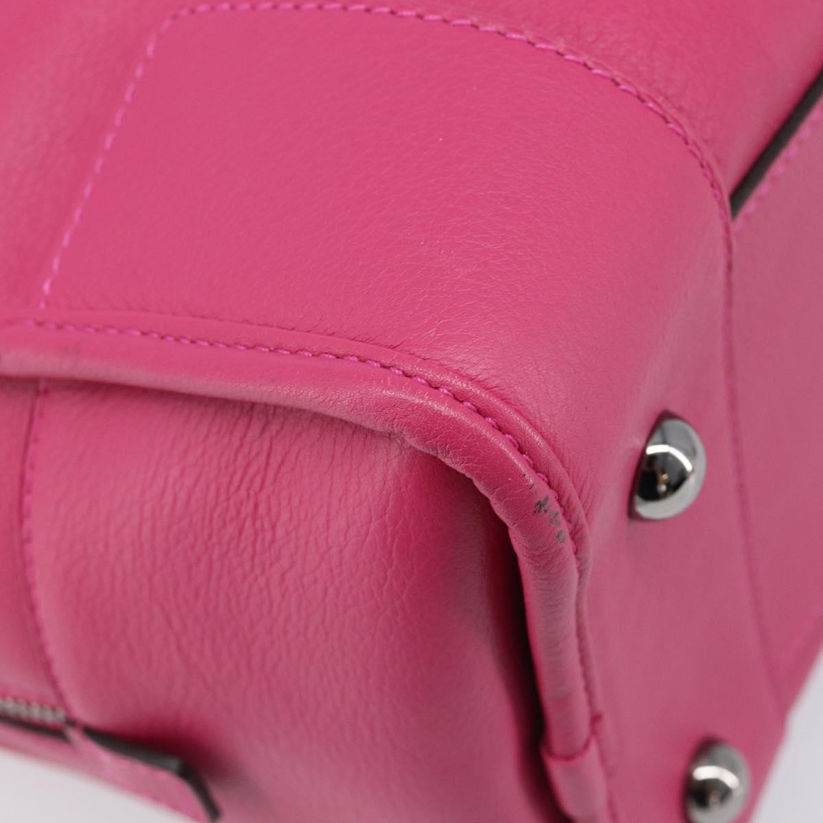 LOEWE Amazona 36 Hand Bag Leather Pink Silver Auth 215397A